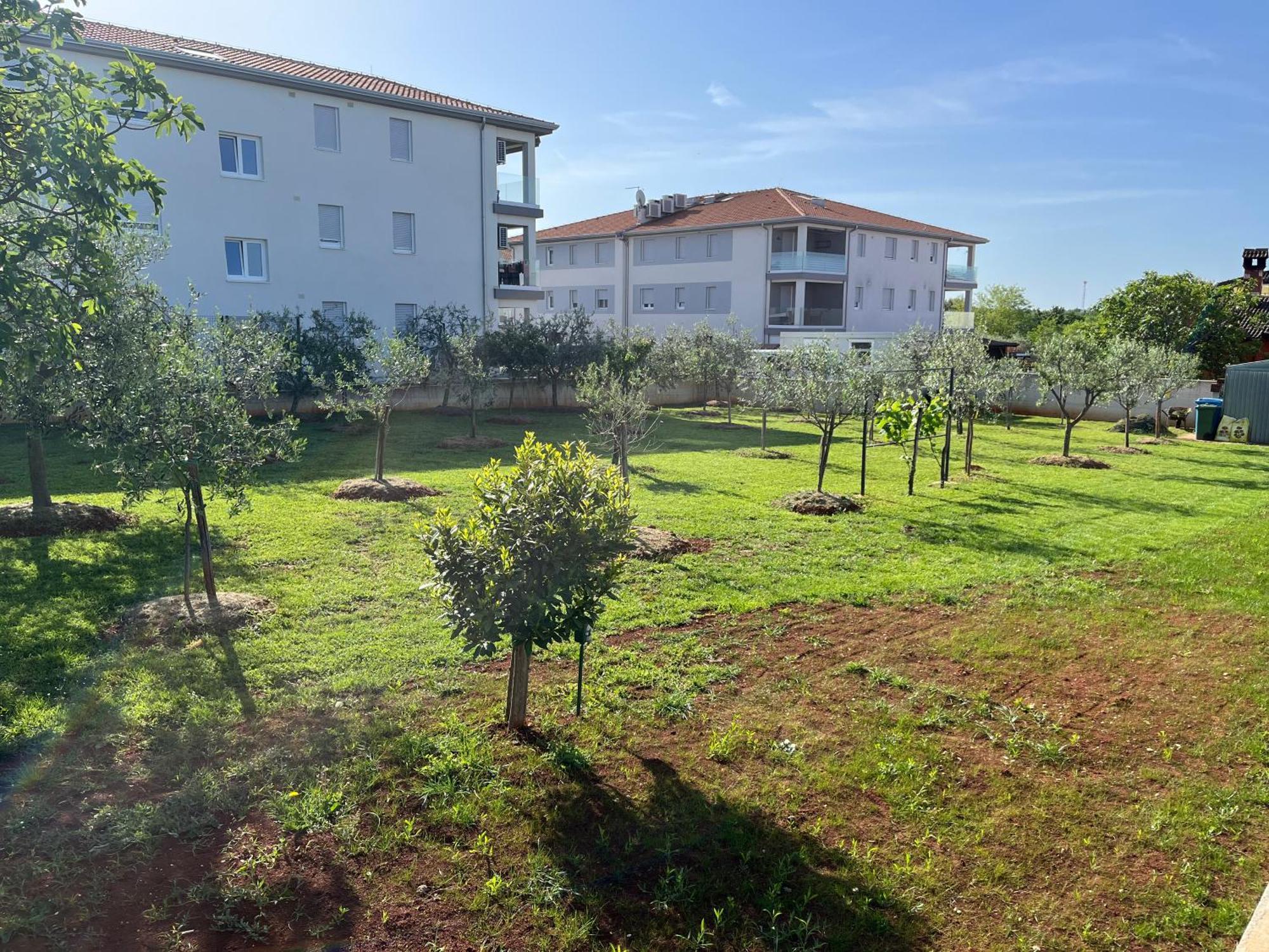 Apartments M&M Terzic Poreč Zewnętrze zdjęcie